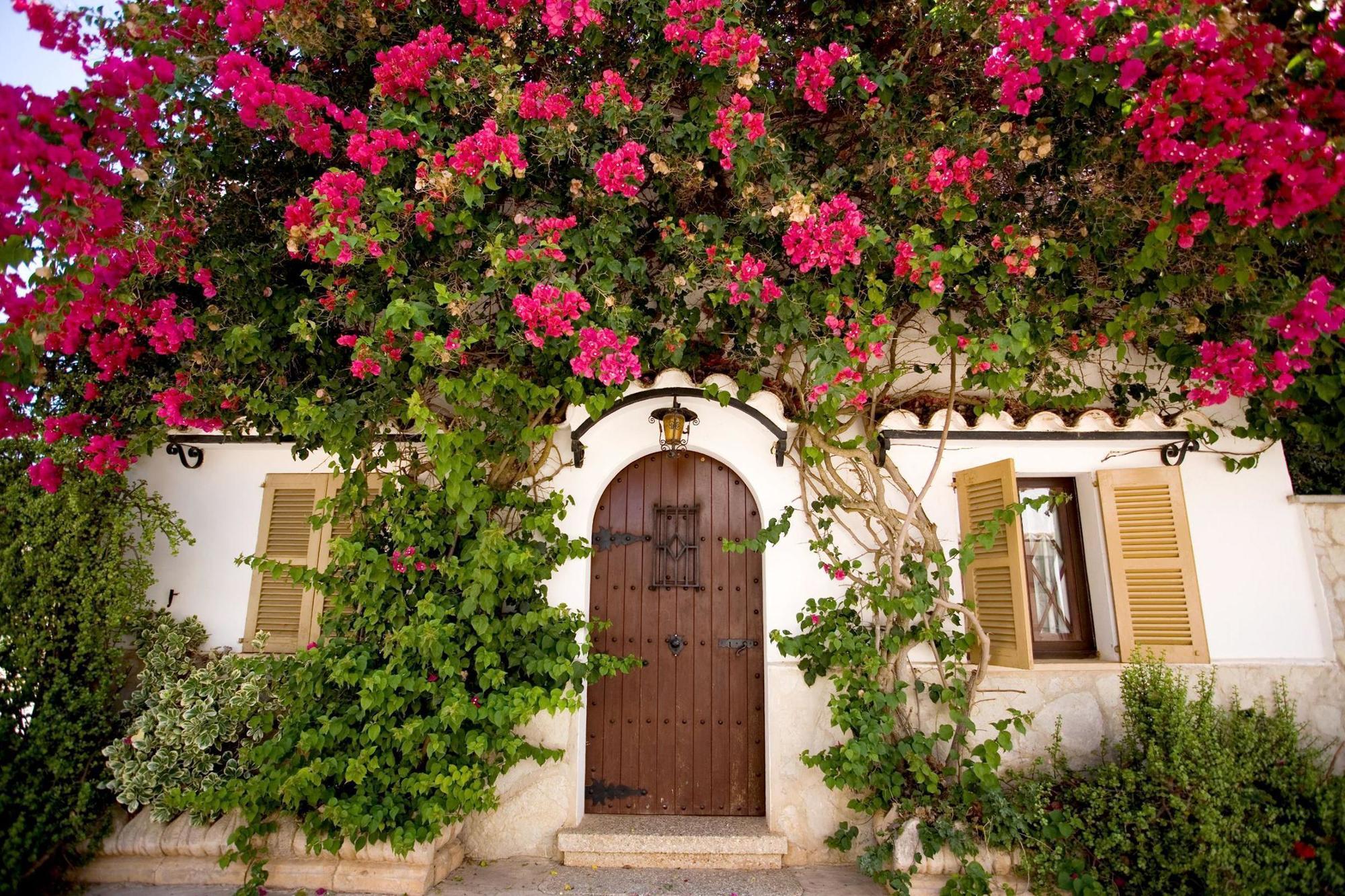 Sa Bassa Plana Guest House Cala Pi  Exterior foto